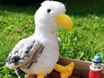 Kuscheltier Möwe