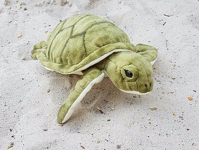 Kuscheltier Schildkröte
