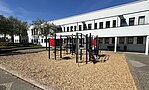 Kletterspinne